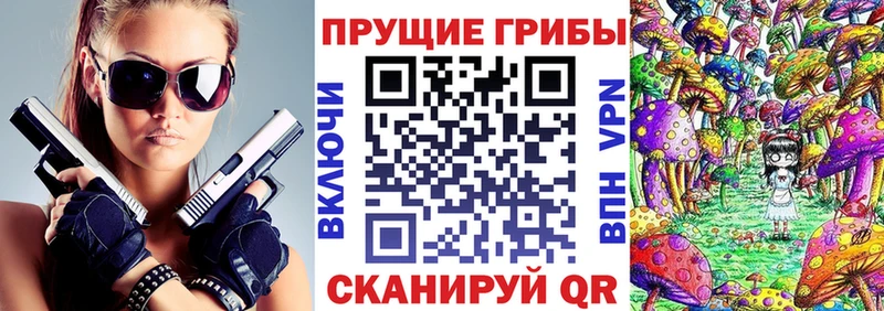 MEGA как войти Духовщина Псилоцибиновые грибы мицелий